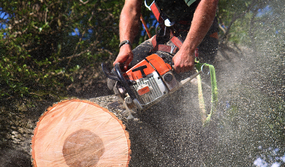 Tibbs Tree Surgeon Photography