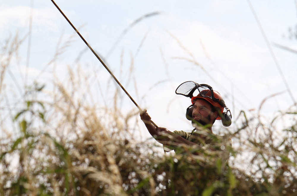 Tibbs Tree Surgeon Photography